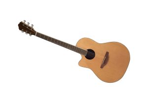 Isolated on white acoustic guitar